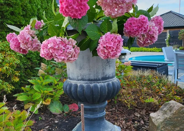 Johanna 's Have Fåborg